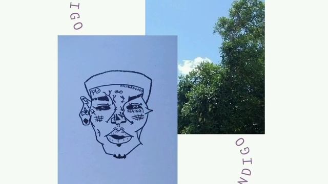 ShaqaZulu - Wild Indigo смотреть онлайн