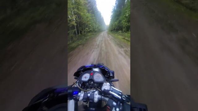 Осенний лес