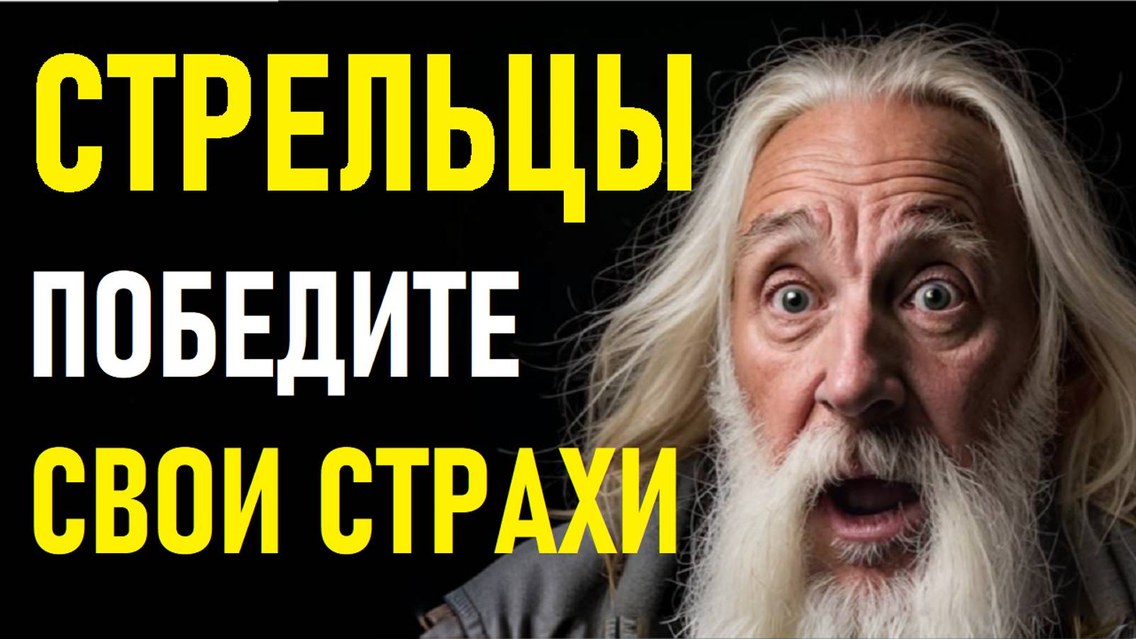 ⚠️СТРЕЛЬЦЫ в панике! ⚠️ смотреть онлайн