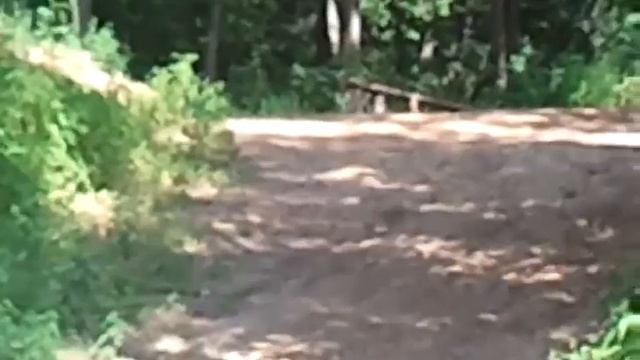 Прыжок через пропасть смотреть онлайн