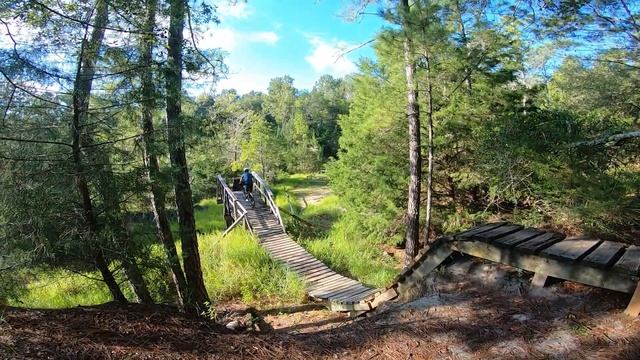 Santos!! Vortex and Indigo Flow laps. смотреть онлайн