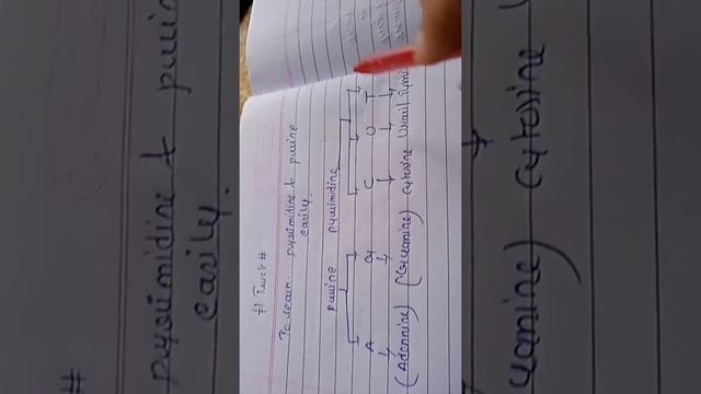 Trick of purines and pyrimidine ❤️❤️ смотреть онлайн