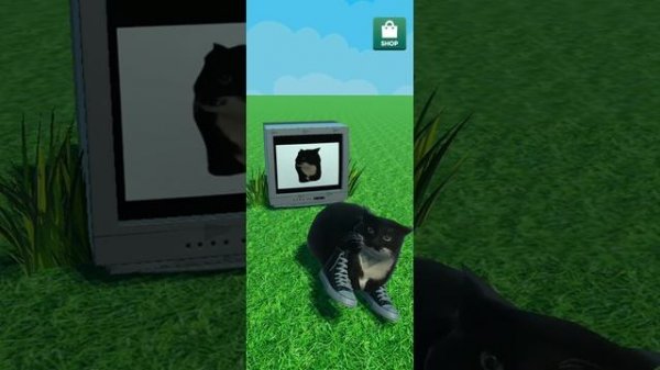 Максвелл кот