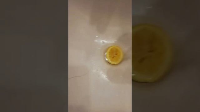 как приготовить лимон смотреть онлайн