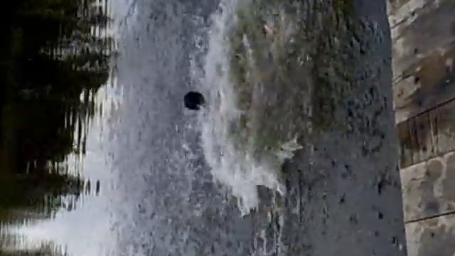 Гарний стрибок у воду....).mp4 смотреть онлайн
