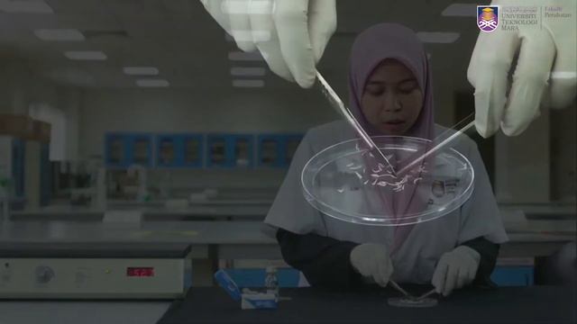 Direct Microscopy Examination using KOH technique смотреть онлайн