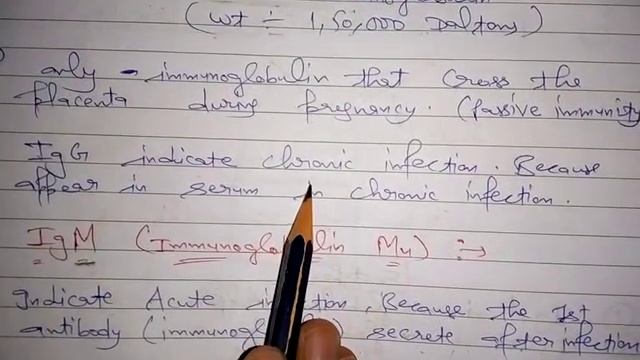 IMMUNOGLOBULIN FULL EXPLANATION (Nursing classes) Introduction & types of immunoglobulin 👍 смотреть онлайн