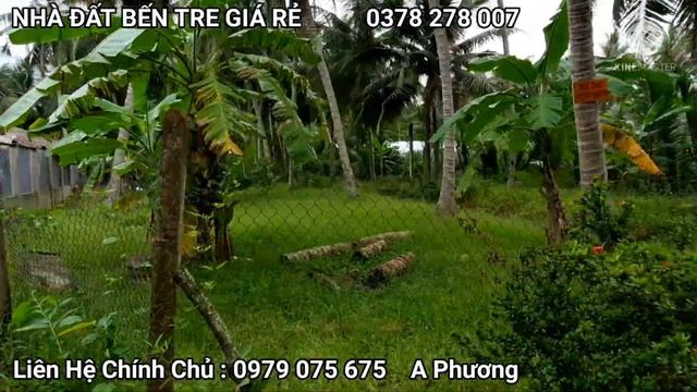 Chính Chủ | 925 m2 Ngang 18m Mặt Tiền Lộ Nhựa , Cách QL 60 800m , Xây Biệt Thự Tuyệt Vời смотреть онлайн
