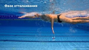 Техника плавания кролем | Подробный разбор под водой