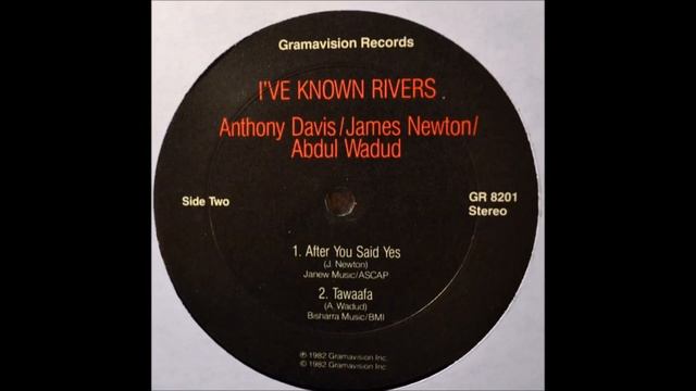 ANTHONY DAVIS-JAMES NEWTON-ABDUL WADUD "I've Known Rivers"(1982) смотреть онлайн