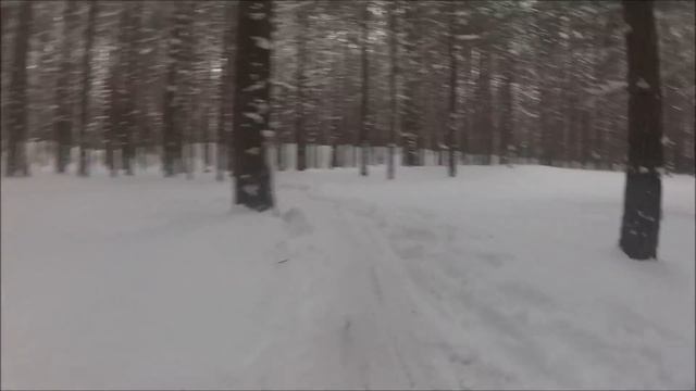 5 этап зимнего кубка по кросс-кантри ХСньюс 11.02.2018 смотреть онлайн