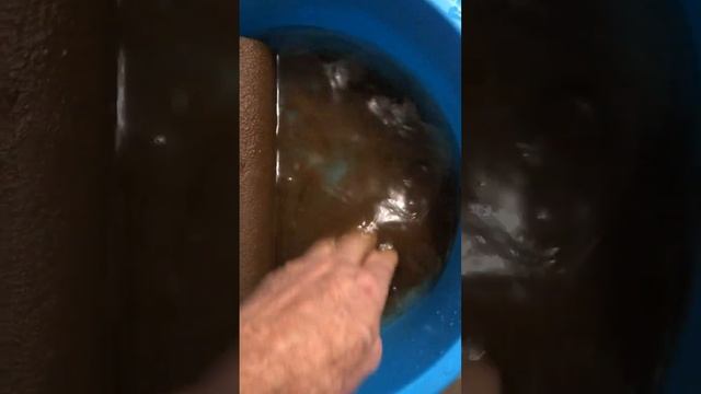 Водоснабжение хутора Красный Крым в Ростовской области смотреть онлайн