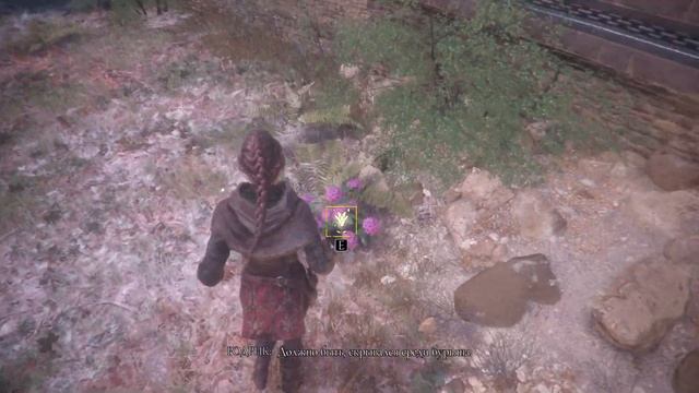 A Plague Tale: Innocence [Глава 11 - Жить] смотреть онлайн