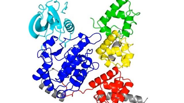 CASK / Lin-2 kinase domain　(with sound) смотреть онлайн
