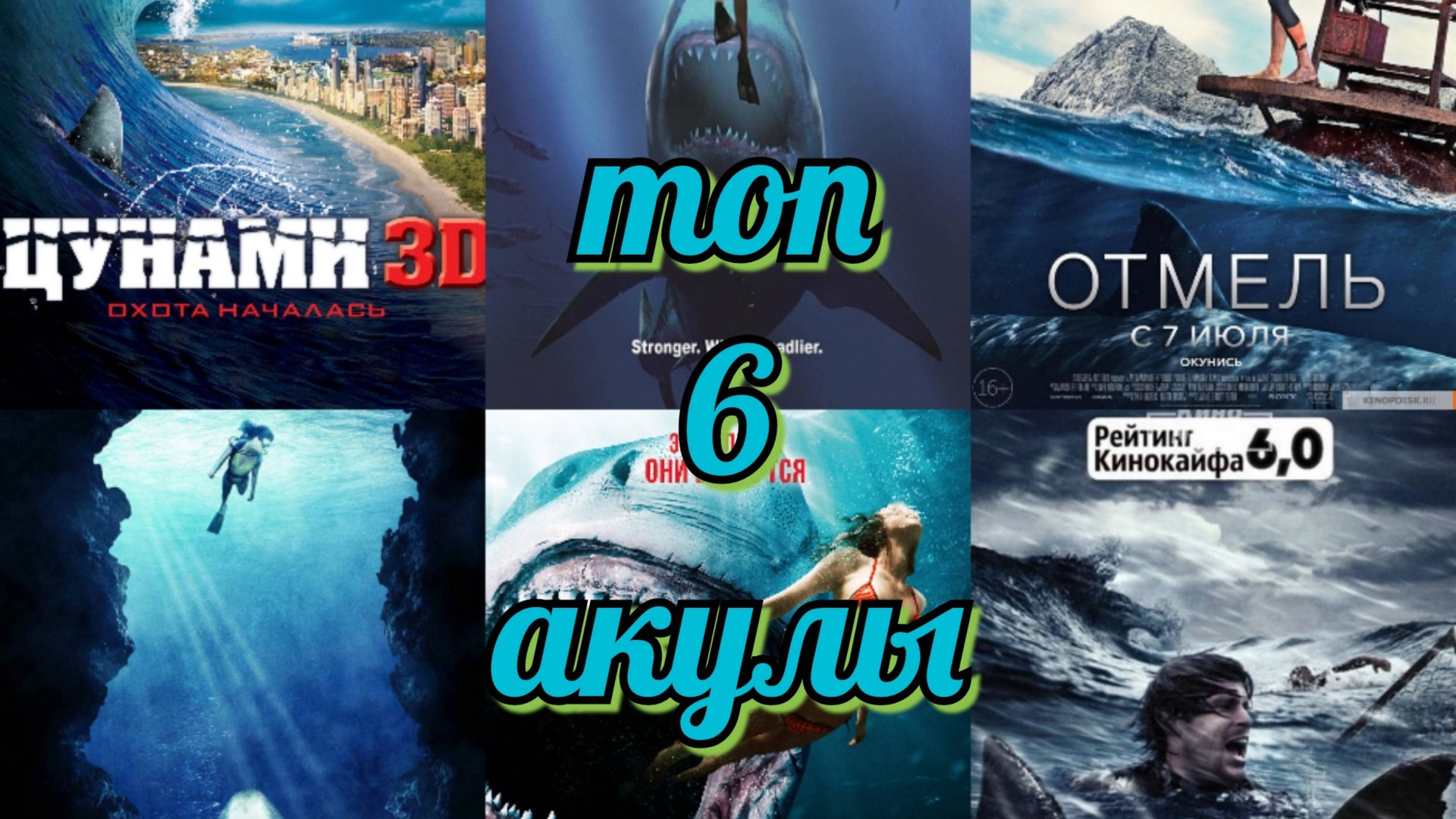 топ 6 акулы