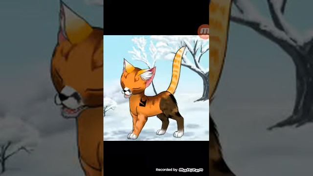 Коты воители 1 часть 1 сезона смотреть онлайн