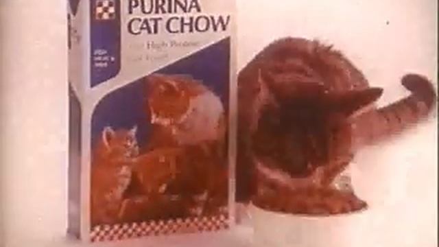 Vintage Purina Cat Chow Commercial смотреть онлайн