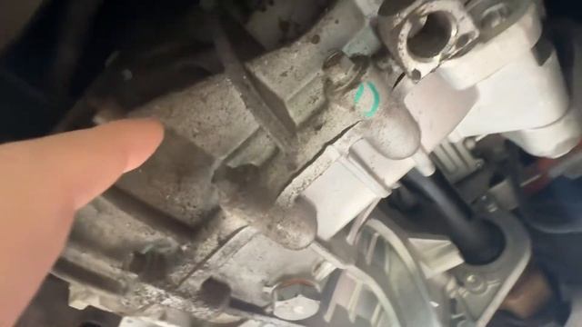 Лекторская экспрессия