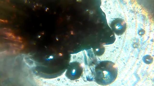 Жизнь в капле стоячей воды смотреть онлайн