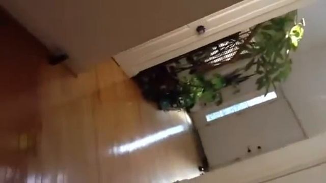 Stirling engine running inside a house with sunlight throug смотреть онлайн