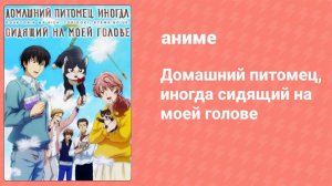 Домашний питомец, иногда сидящий на моей голове 10 серия (аниме-сериал, 2019)
