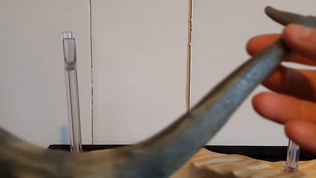 Prehistoric Marine Fauna Model Reviews: PNSO Oba the Basilosaurus 2016 смотреть онлайн