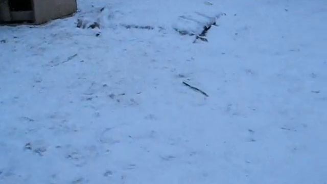 Веселые научно-познавательные эстетические эксперименты