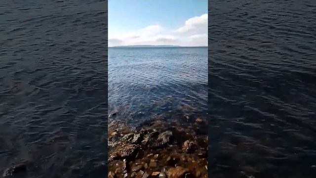 река Тольятти похожа на черное море🧐 смотреть онлайн