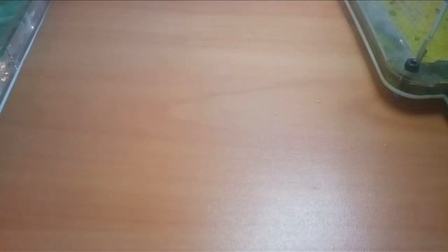 Как сделать инкубатор для муравьев? смотреть онлайн