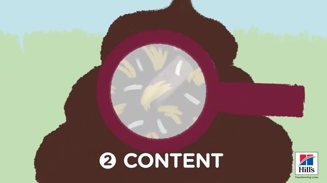 Hill’s HOW TOs: How to Spot GI Issues in Dogs смотреть онлайн