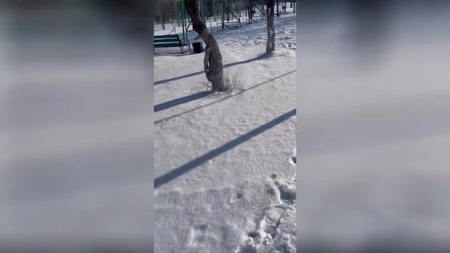 Подписчик что то мне заказал !!? смотреть онлайн