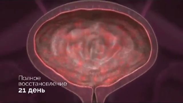 27 марта 2024 г. смотреть онлайн