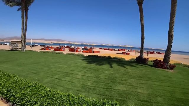 НАКОНЕЦ ТО 🇪🇬 Barceló Tiran Sharm 5* Первая линия Набк Сервис Питание Пляж Бары смотреть онлайн