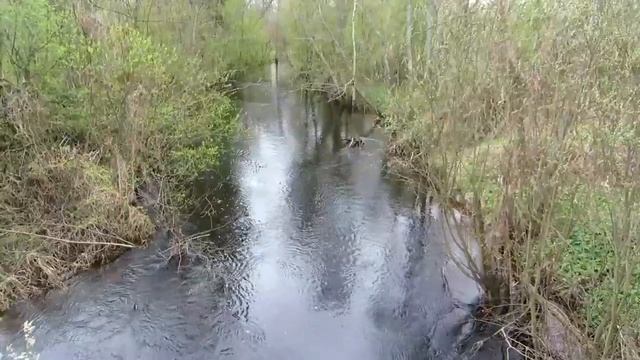 Магия речки Куновка Талдомский р он 04 мая 2021 смотреть онлайн