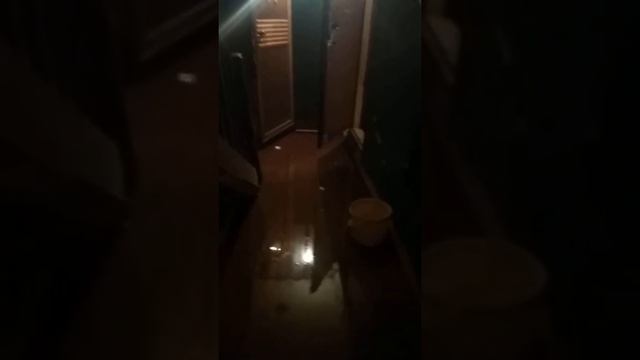 Комунальная служба вы отстой,что за безобразие,вода подтопляет подъезд и квартиры с ремонтом на пер смотреть онлайн