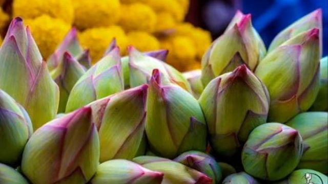 World Photo Park Dream Creators Video Magazine Vol 2 смотреть онлайн