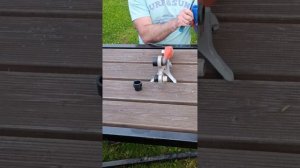 Пайка ПНД трубы обычным паяльником для Полипропилена