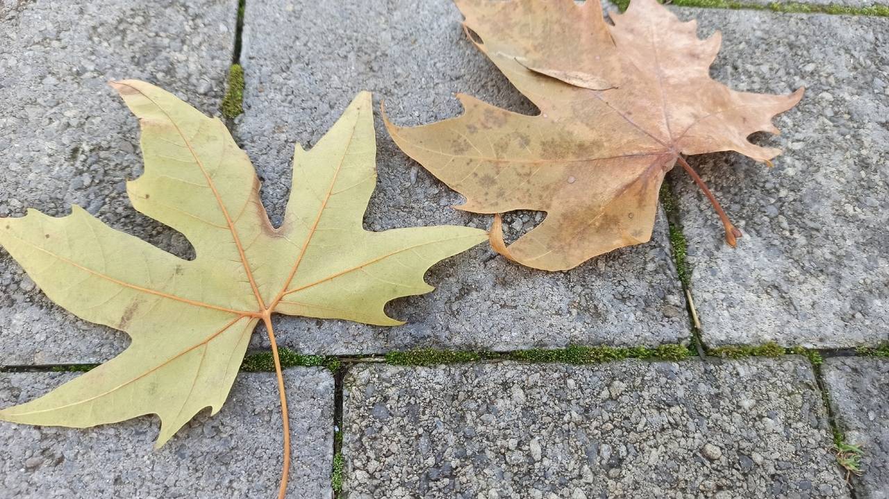Наша Таня громко плачет/Ветер, меняет направление... смотреть онлайн