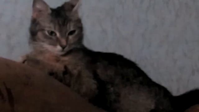 Новое место дислокации смотреть онлайн