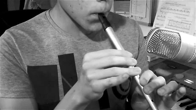 Lord Of The Rings Theme on Tin Whistle (Pennywhistle) смотреть онлайн