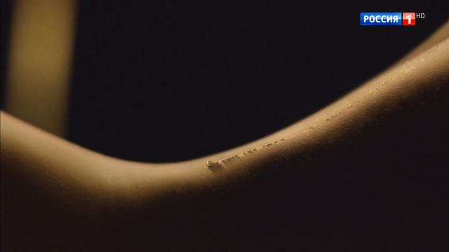 Реклама Диор Жадор - Шарлиз Терон 2019 смотреть онлайн