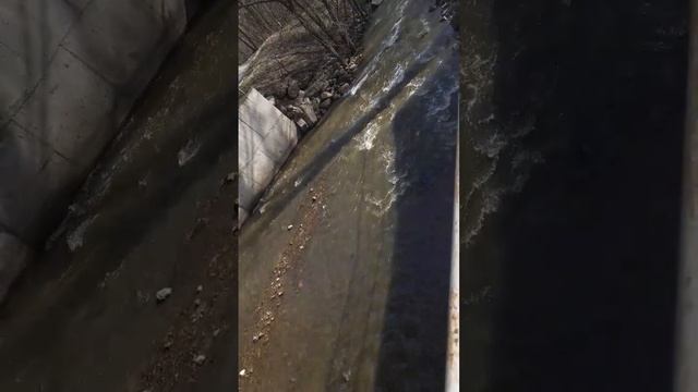 Вода течёт #вода #водоём #речка #ручей #весна смотреть онлайн