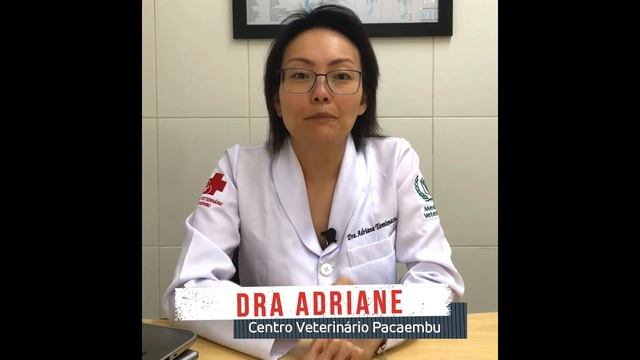 Em quanto tempo minha gata entra no cio depois de dar cria? смотреть онлайн