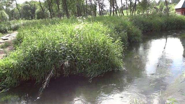 Поездка в Радонеж. Купальня смотреть онлайн