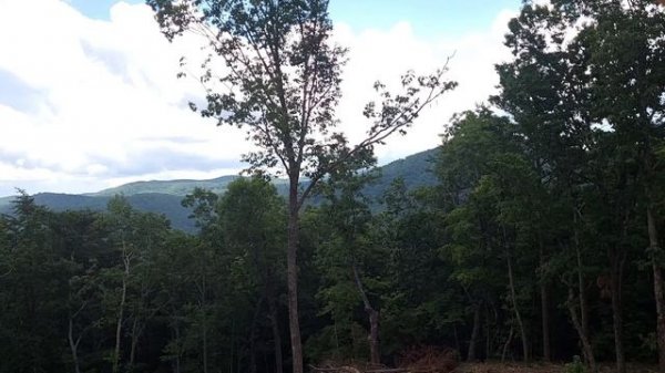 Nathan Airchime K5LA Wide Font (84-89) ex VRE static summer recording.