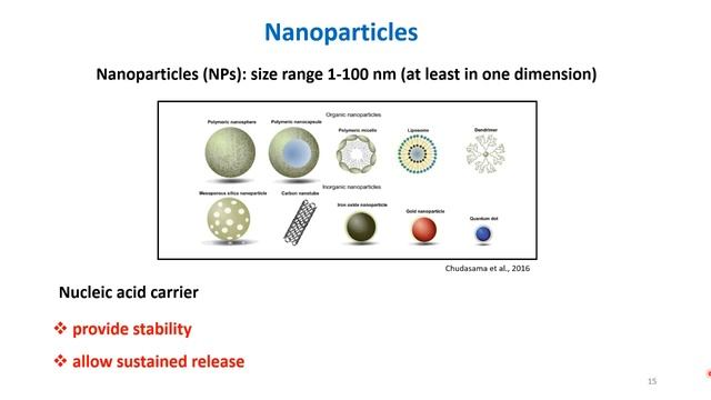 Nanoparticle-Aided RNA Delivery Systems for Tackling Destructive Plant Viruses смотреть онлайн