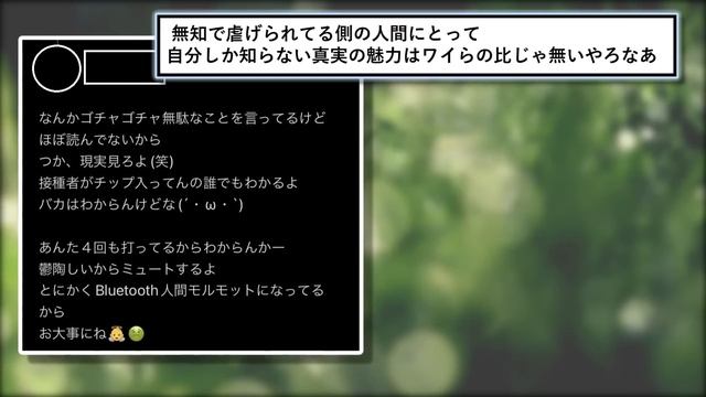 【2ch面白いスレ】反ワクさん、有識者に完全論破され涙目配送w смотреть онлайн