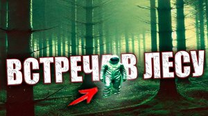 Необычный лес под Солнечногорском. Что рассказывает легенда 1988 года о серебристых деревьях
