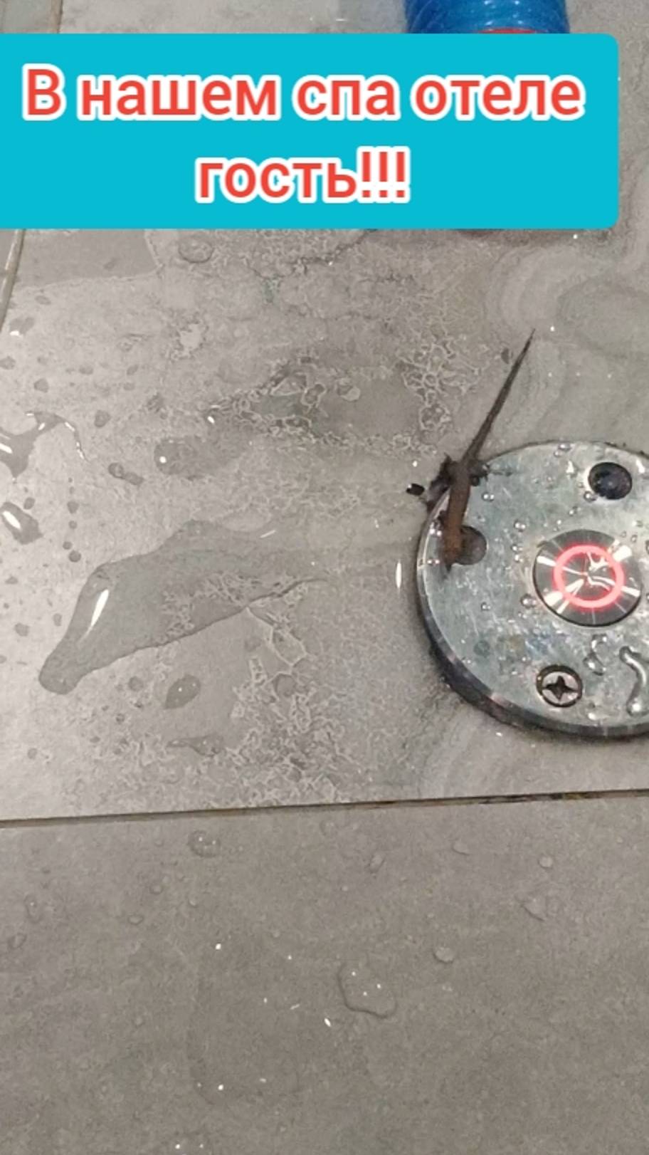 В СПА ОТЕЛЬ ГРЕЙС КРУИЗ ПРОБРАЛСЯ ТРИТОН смотреть онлайн