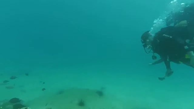 9 июня. Дайверы - молодожёны Никита и Настя из Питера (часть 9) смотреть онлайн